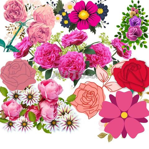 y'a Terrains 1486 m et 9864 m à ait Melloul