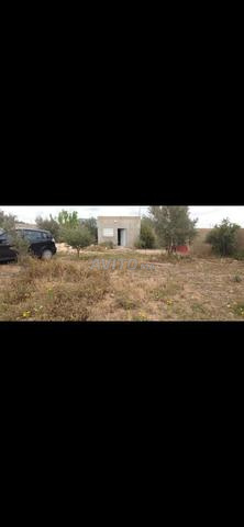 🌿 À VENDRE Terrain Agricole 13 km de Khouribga