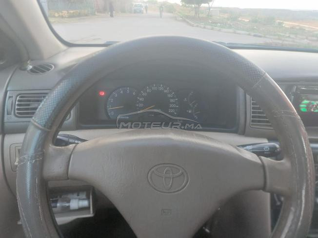 رياض تولال 
