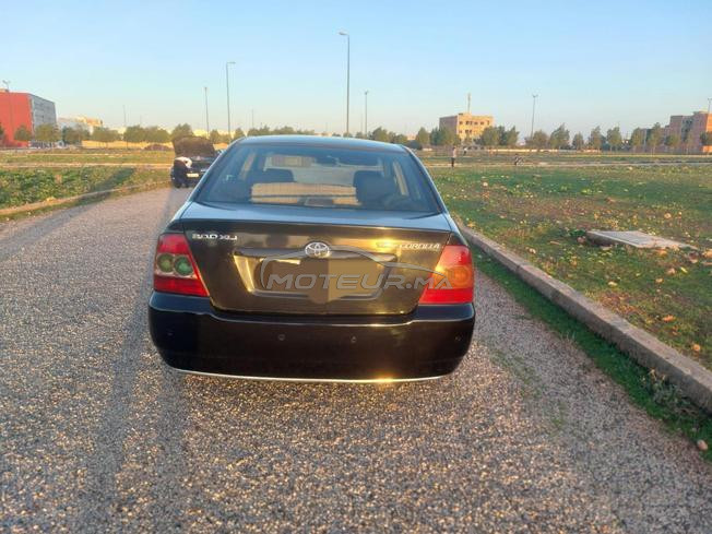رياض تولال 