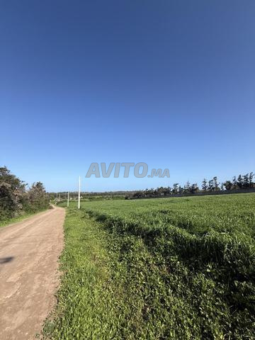 5000 متر موثق ذو موقع استثنائي