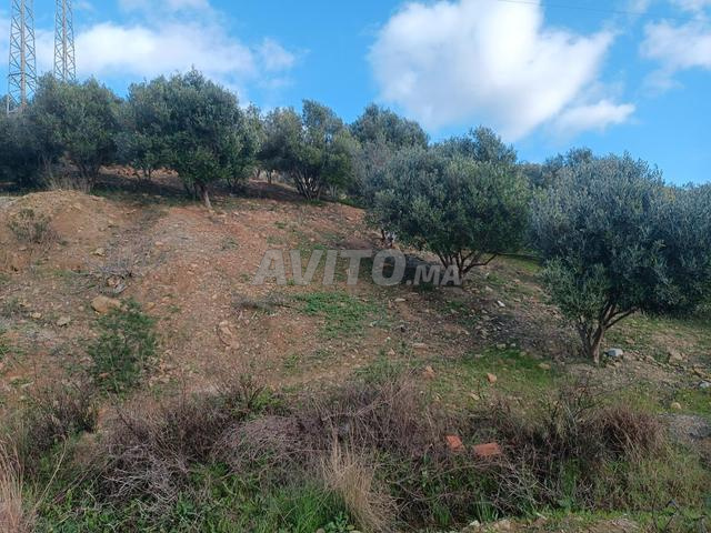 Terrain à vendre. 1 khtar