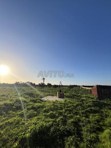 مزرعة في موقع جيد جدا - 2