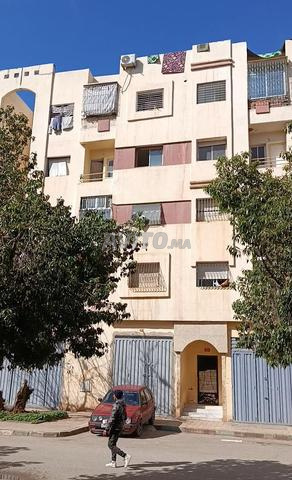 عصر زيتون ضحى