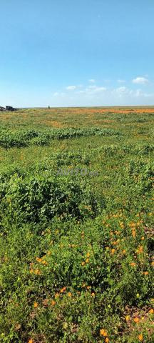 16 هكتار محفظة - 2