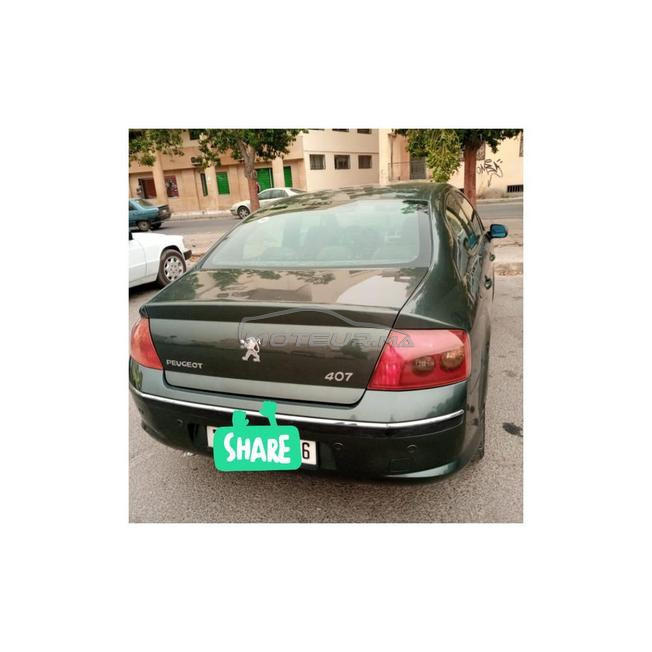 peugeot 407