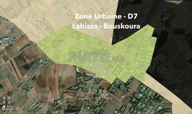 أرض مساحتها 1 هكتار منطقة D7 تجزئة مولاي ادريس الابيسا بوسكورة