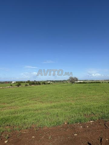 3000 m² titrés avec permis de construire villa à vendre