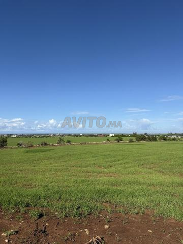 3000 m² titrés avec permis de construire villa à vendre