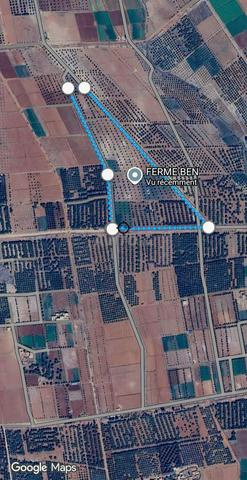 Terrain agricole 7 hectares équipé à El Attaouia - 2