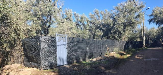 🏡 Terrain agricole à vendre près de Ain Asserdoun – Beni Mellal