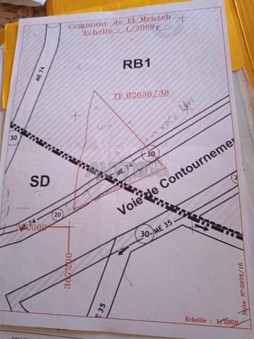 Terrain pour lotissement à vendre