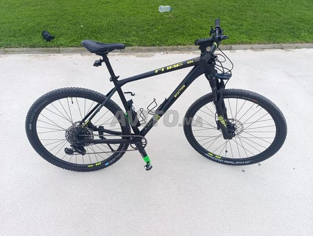 وكالة بقى نقية ثمن مناسب طايا L