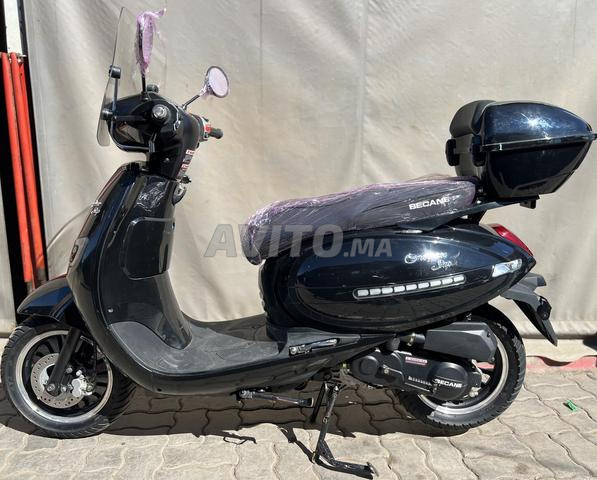 becane florence plus