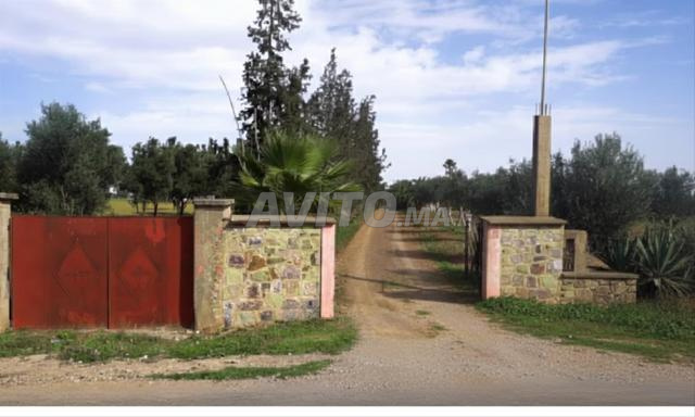 Ferme 4 Ha – Plaisance, écotourisme & élevage