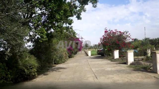 Ferme 4 Ha – Plaisance, écotourisme & élevage - 2