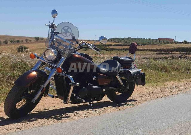 Honda Shadow 750 – Import USA