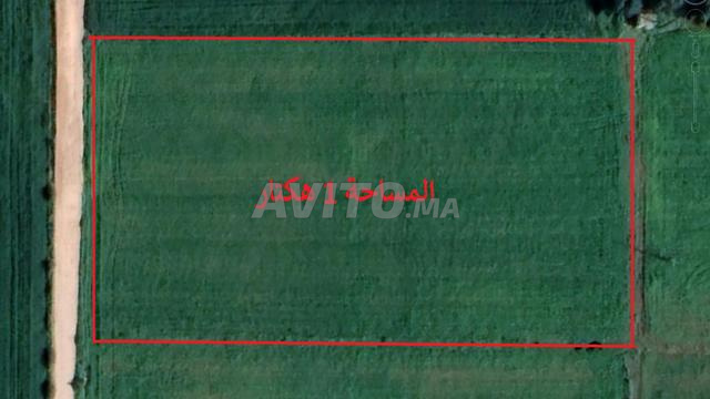 Terrains Agricoles & fermes à bir jdid