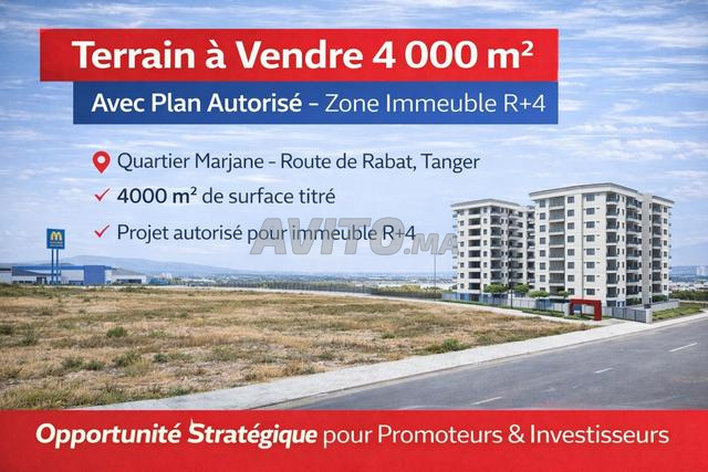 أرض جميلة 4000 م2 مع تصميم مرخص مرجان