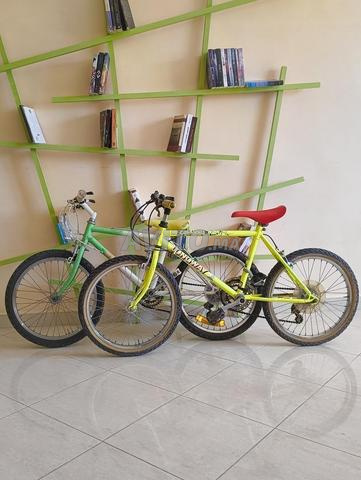 Lot de 2 vélos