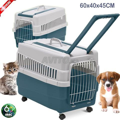 CAGE DE TRANSPORT SUR ROUES 60x40x45CM