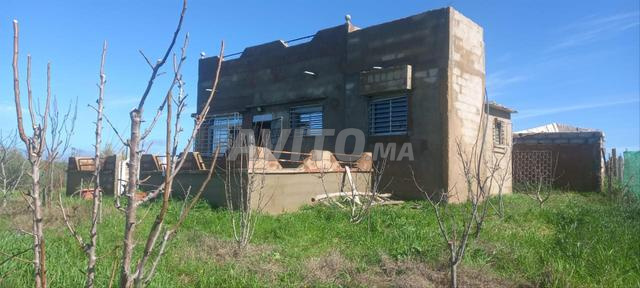 Aïn Johra avant Tiflet