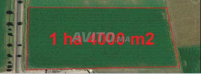 Terrain à Bir Jdid pour habitation et investir