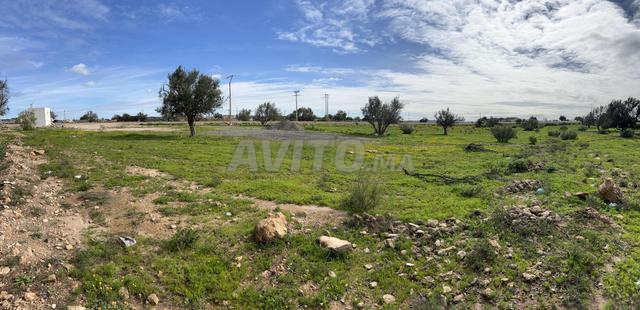 الصويرة - أرض موثقة 9000 متر مربع (Nemra 20)