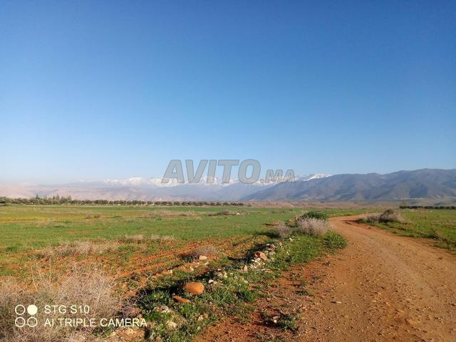 Terrain titré 6,5 hectares