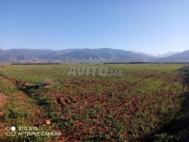 أرض مسجلة بمساحة 6.5 هكتار - 2