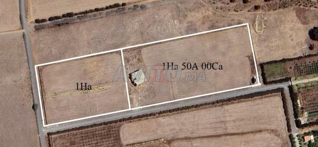 Vente Terrain nu de 15000 m2 à Benslimane