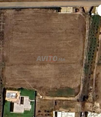 Vente Ferme de 10000 m2 à Had Soualem