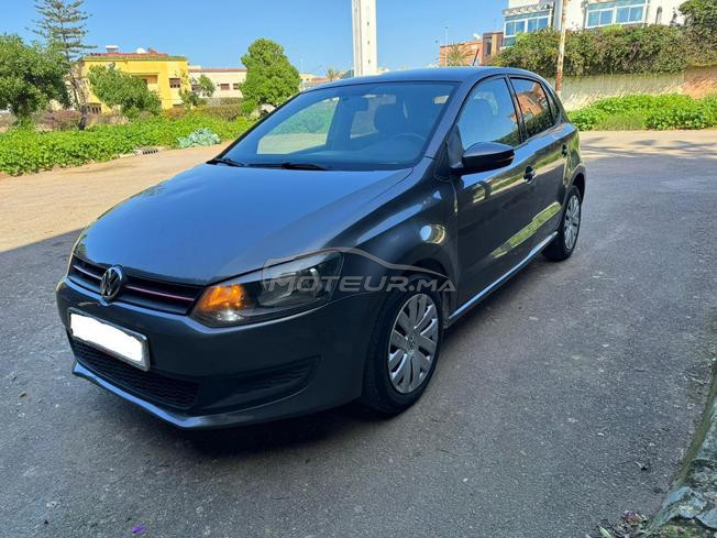 polo daisel 2014