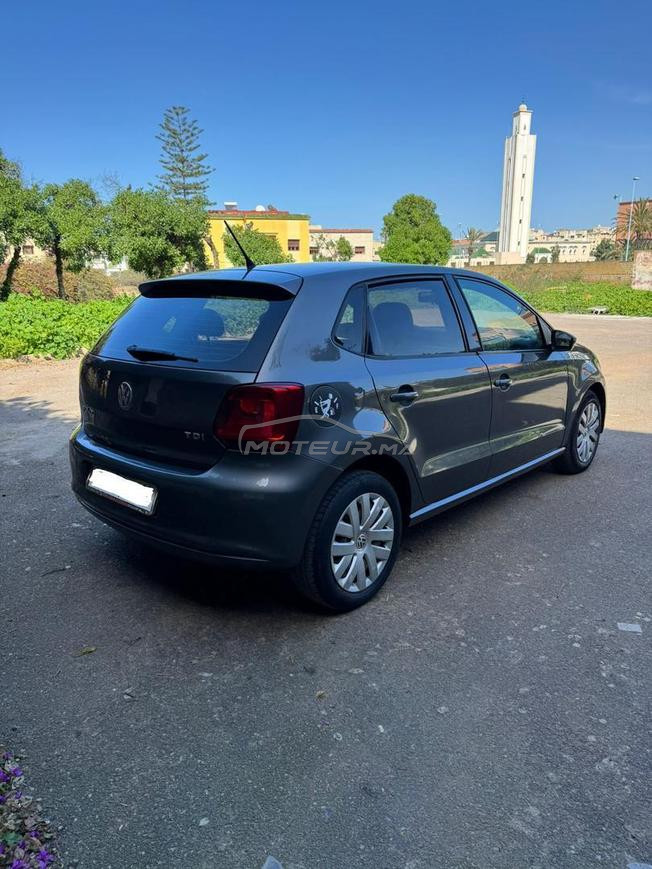 polo daisel 2014