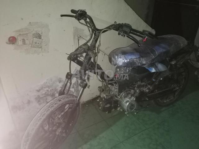 فالكون بلاكا صغيرة