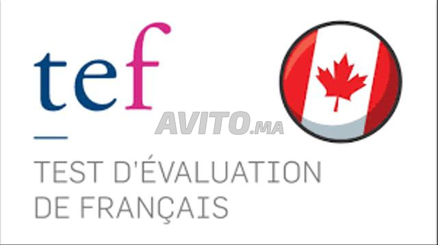 دورة تحضيرية لامتحان TEF