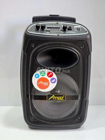 Enceinte Portable Amaz 250W avec Micro Sans Fil BT - 2