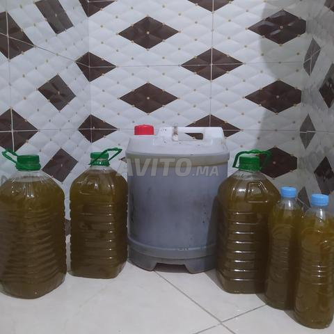 زيت الزيتون البلدي بدون ملح olive oil