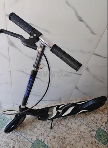 تروتينيت 🛴 تروتينات