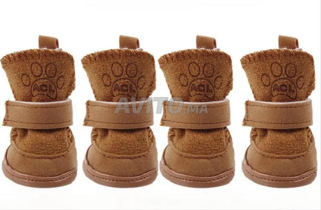 أحذية للكلاب (مقاس M)