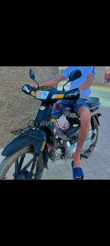 مطور جديد بشهرين بش خرج من لميزو