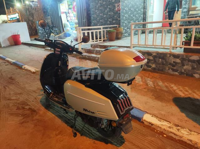 بيكان تورينو