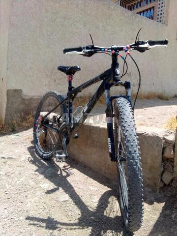 أفضل بيكالة تقدر تضري