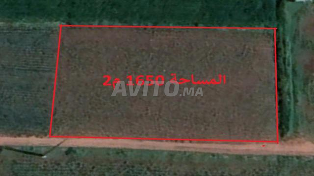 أراضٍ محفظة بمنطقة البئر الجديد للسكن والاستثمار - 2