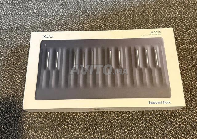 Roli Seaboard Block (2 متوفرة)