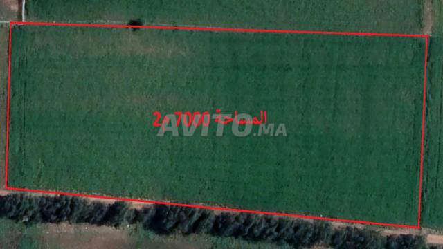 Terrains agricoles titrés à Bir Jdid