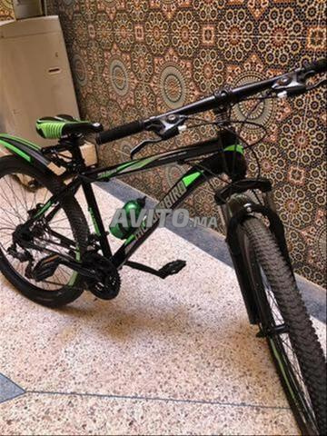 دراجة THUNDRBIRD VTT