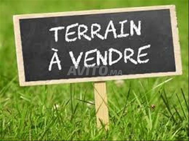 Terrain à vendre à Allal Bahraoui 7 734m² (Titré)