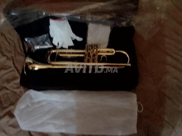 بوق جديد لميكا