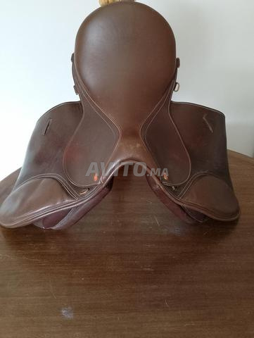 سرج مختلط للترويض والعقبات